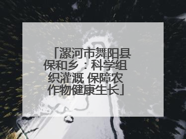 漯河市舞阳县保和乡：科学组织灌溉 保障农作物健康生长