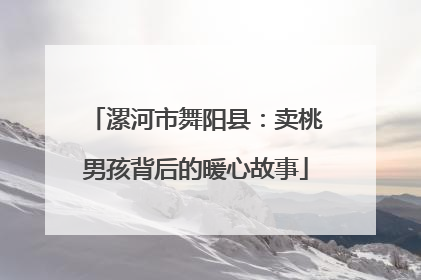 漯河市舞阳县：卖桃男孩背后的暖心故事