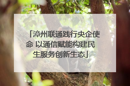漳州联通践行央企使命 以通信赋能构建民生服务创新生态