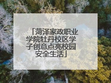 菏泽家政职业学院牡丹校区学子创意点亮校园安全生活