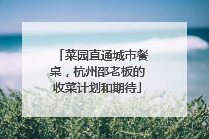 菜园直通城市餐桌，杭州邵老板的收菜计划和期待