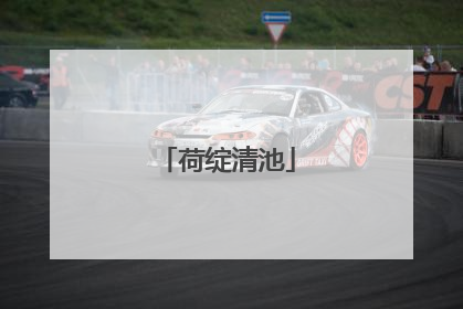 荷绽清池
