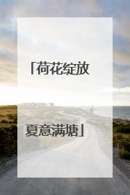 荷花绽放 夏意满塘
