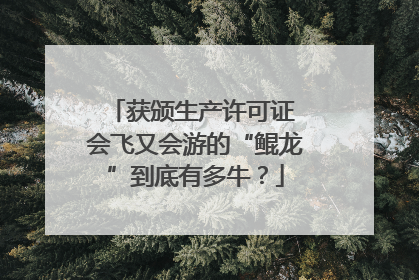 获颁生产许可证 会飞又会游的“鲲龙”到底有多牛？