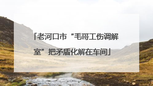 老河口市“毛哥工伤调解室”把矛盾化解在车间