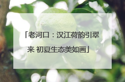 老河口：汉江荷韵引翠来 初夏生态美如画