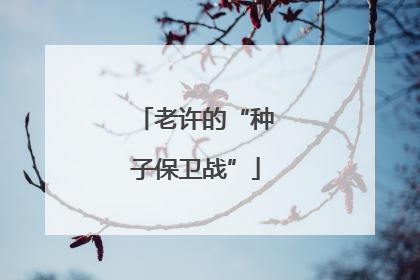 老许的“种子保卫战”