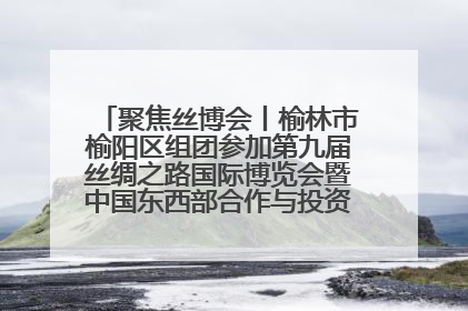 聚焦丝博会丨榆林市榆阳区组团参加第九届丝绸之路国际博览会暨中国东西部合作与投资贸易洽谈会