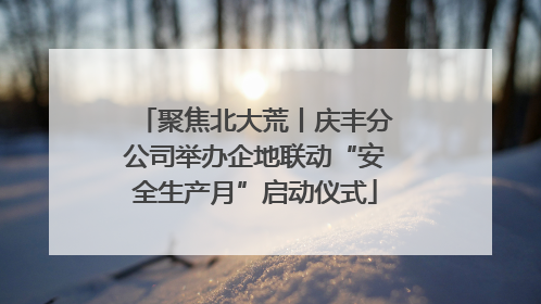 聚焦北大荒丨庆丰分公司举办企地联动“安全生产月”启动仪式