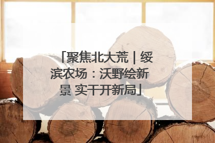 聚焦北大荒｜绥滨农场：沃野绘新景 实干开新局