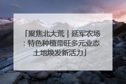 聚焦北大荒｜延军农场：特色种植带旺多元业态 土地焕发新活力