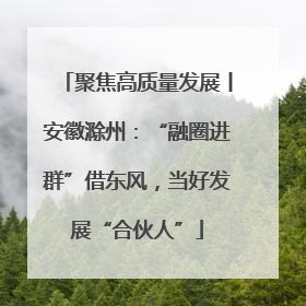聚焦高质量发展丨安徽滁州：“融圈进群”借东风，当好发展“合伙人”