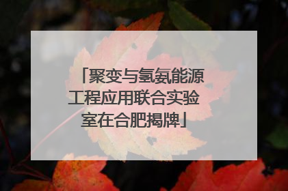 聚变与氢氨能源工程应用联合实验室在合肥揭牌