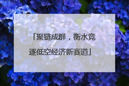 聚链成群，衡水竞逐低空经济新赛道