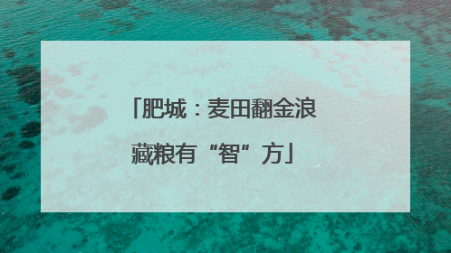 肥城：麦田翻金浪藏粮有“智”方