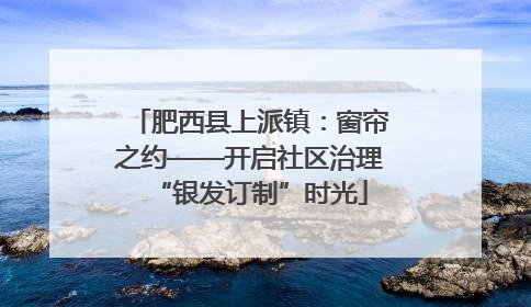 肥西县上派镇：窗帘之约——开启社区治理“银发订制”时光