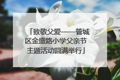 致敬父爱——管城区金盛路小学父亲节主题活动圆满举行