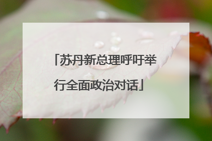 苏丹新总理呼吁举行全面政治对话