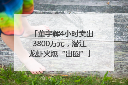 董宇辉4小时卖出3800万元，潜江龙虾火爆“出圈”