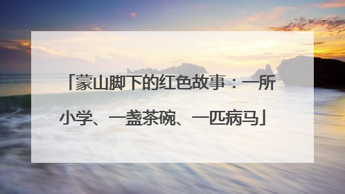 蒙山脚下的红色故事：一所小学、一盏茶碗、一匹病马