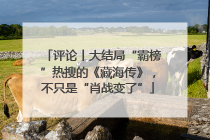评论丨大结局“霸榜”热搜的《藏海传》，不只是“肖战变了”