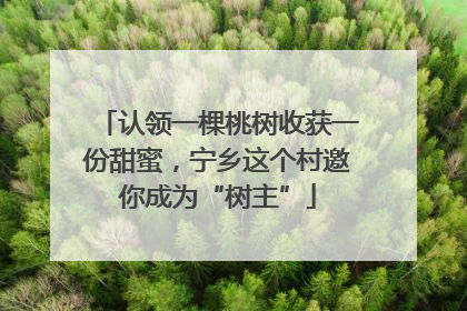 认领一棵桃树收获一份甜蜜，宁乡这个村邀你成为“树主”