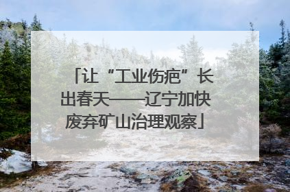 让“工业伤疤”长出春天——辽宁加快废弃矿山治理观察