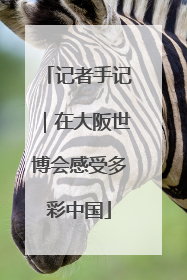 记者手记｜在大阪世博会感受多彩中国