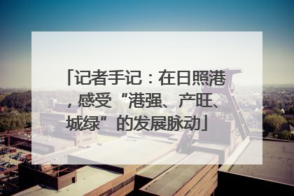 记者手记：在日照港，感受“港强、产旺、城绿”的发展脉动