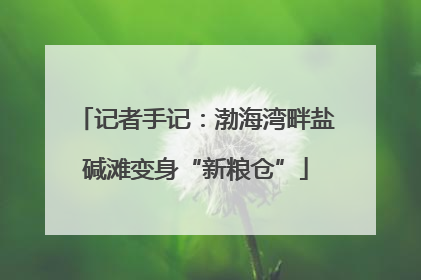 记者手记：渤海湾畔盐碱滩变身“新粮仓”