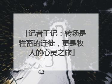 记者手记：转场是牲畜的迁徙，更是牧人的心灵之旅