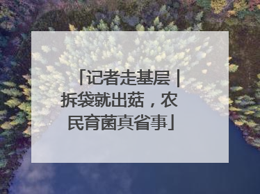 记者走基层｜拆袋就出菇，农民育菌真省事