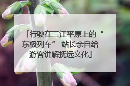 行驶在三江平原上的“东极列车” 站长亲自给游客讲解抚远文化
