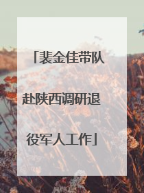 裴金佳带队赴陕西调研退役军人工作