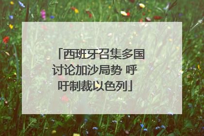 西班牙召集多国讨论加沙局势 呼吁制裁以色列