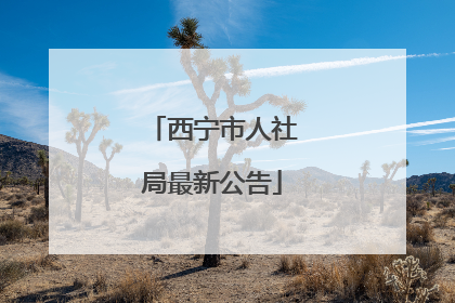 西宁市人社局最新公告