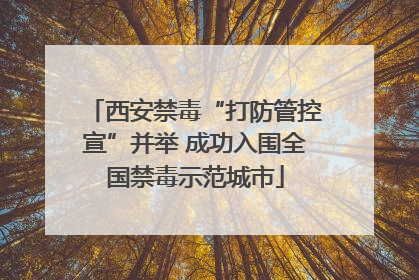 西安禁毒“打防管控宣”并举 成功入围全国禁毒示范城市