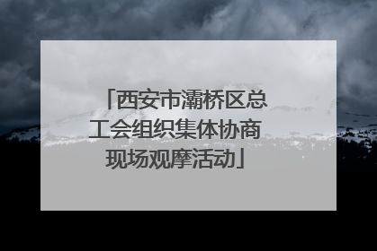 西安市灞桥区总工会组织集体协商现场观摩活动