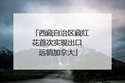 西藏自治区藏红花首次实现出口 远销加拿大