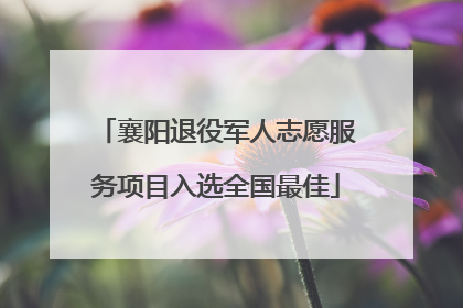 襄阳退役军人志愿服务项目入选全国最佳