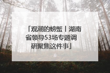 观潮的螃蟹丨湖南省领导53场专题调研聚焦这件事