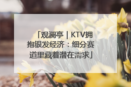 观澜亭｜KTV拥抱银发经济：细分赛道里藏着潜在需求