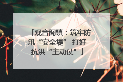 观音阁镇：筑牢防汛“安全堤” 打好抗洪“主动仗”