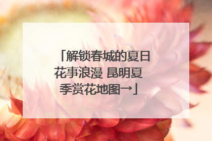 解锁春城的夏日花事浪漫 昆明夏季赏花地图→