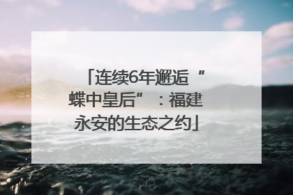 连续6年邂逅“蝶中皇后”：福建永安的生态之约