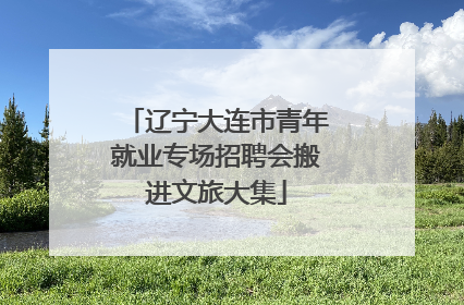 辽宁大连市青年就业专场招聘会搬进文旅大集