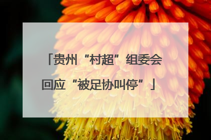 贵州“村超”组委会回应“被足协叫停”