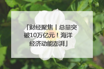 财经聚焦丨总量突破10万亿元！海洋经济动能澎湃
