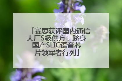 赛思获评国内通信大厂S级供方，跻身国产SLIC语音芯片领军者行列