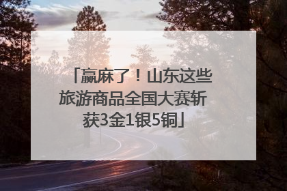 赢麻了！山东这些旅游商品全国大赛斩获3金1银5铜